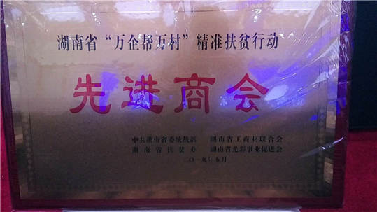 践行公益一直在路上——王士林荣获湖南省委、省政府联名颁发抗疫贡献感谢信