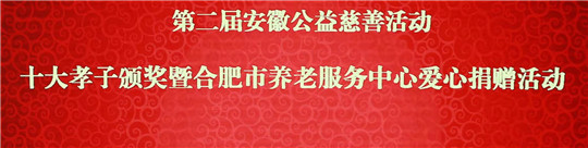 中国国际新闻杂志社(网)主办的中国安徽第二届公益慈善活动在皖正式举行