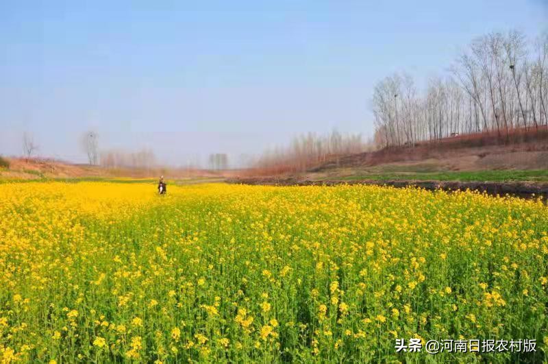 安阳市生态环境局宣教科主任科员睢晓康：一位驻村第一书记的倾情回忆，岁月无虚度，回眸当笑慰图3